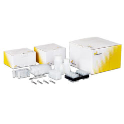 DNA/RNA Extraction Kits