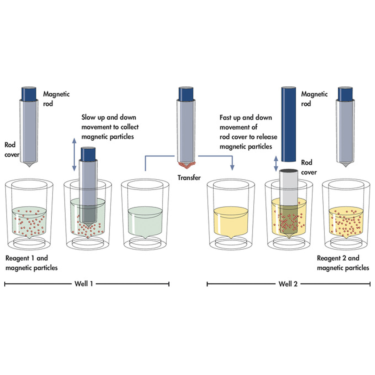 QIAGEN Buffers and Reagents, Molecular Biology Buffers