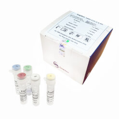 Ezplex SARS-Cov-2 G RT-PCR Kit including Controls, RQ mixture and P+P