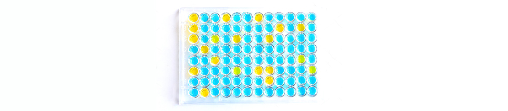 Immunoassay